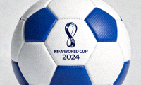 国际足球联合会FIFA世界杯标志